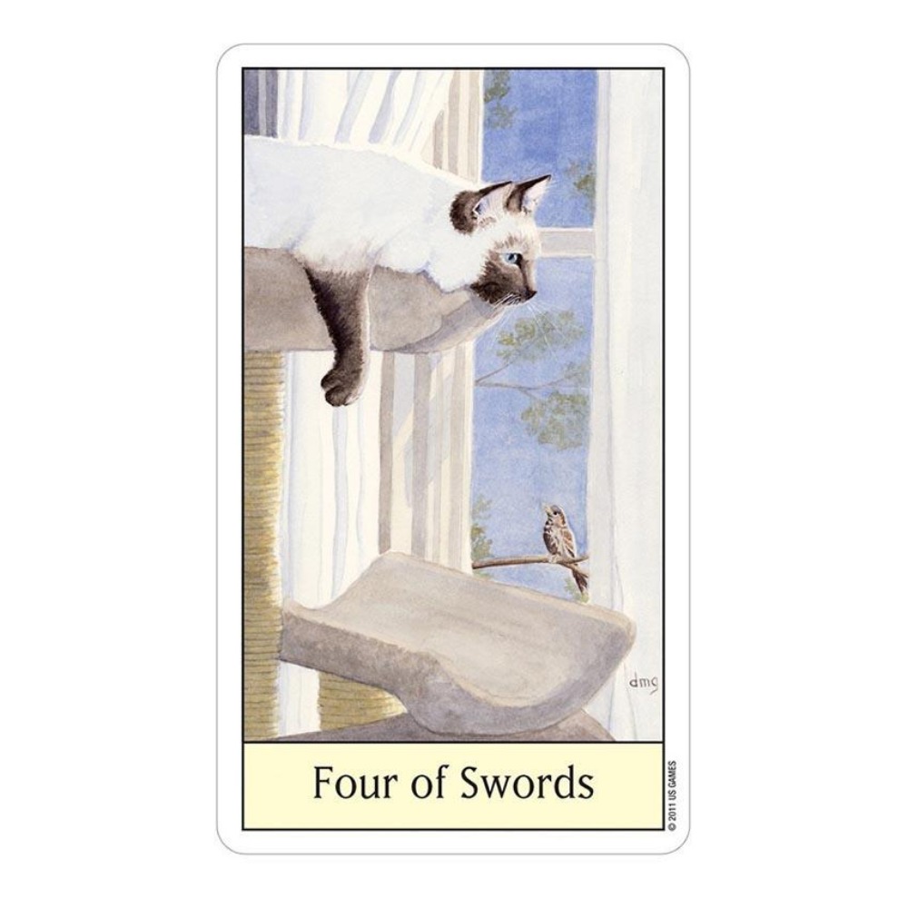 Tarot Deck With Guidebook - Tarot ojo de gato 12x7 cm