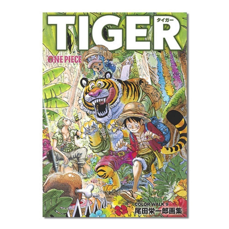 Stationery Books - Libro de ilustraciones de One Piece,