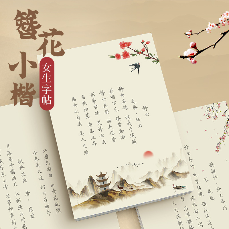 Cuaderno de caligrafía con dis - Chinese Calligraphy Practice Book reseña y precio