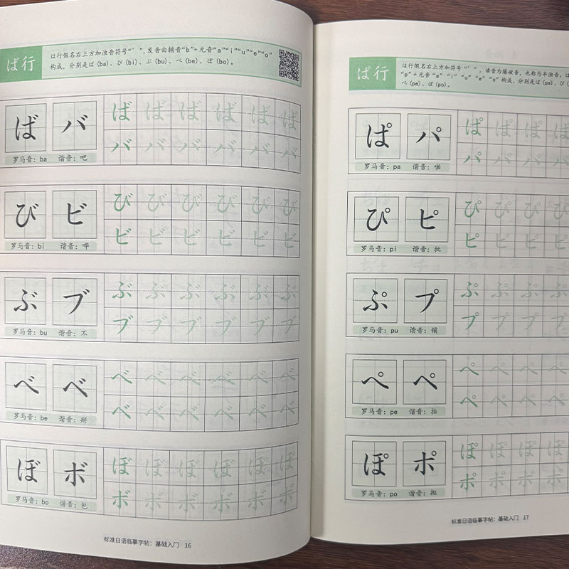 Cuaderno de Práctica de Hiraga - Chinese Calligraphy Practice Book reseña y precio